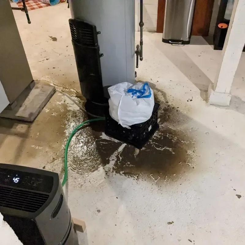Sewage Backup Cleanup Service in Midway, AR